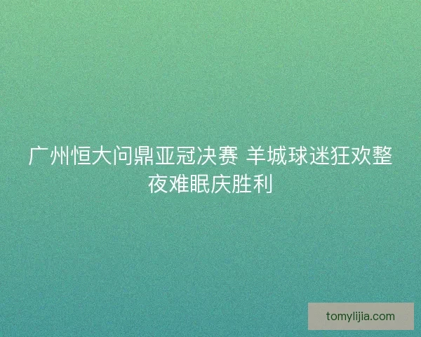 广州恒大问鼎亚冠决赛 羊城球迷狂欢整夜难眠庆胜利